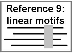 Reference 9