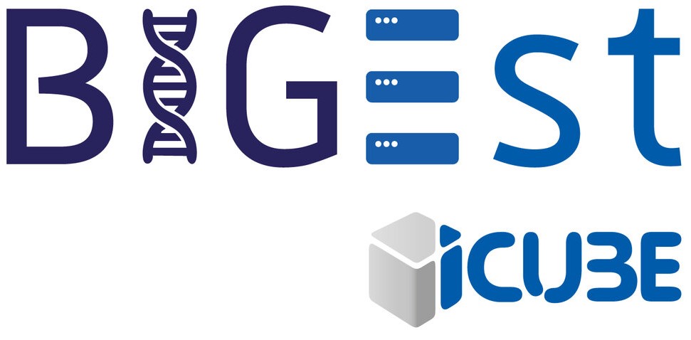 BIGEST-ICube logo
